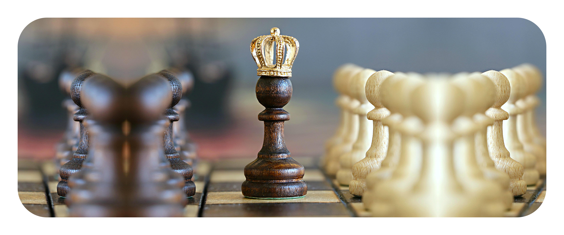 career_chess01