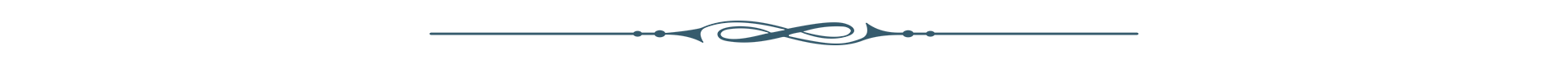 divider01