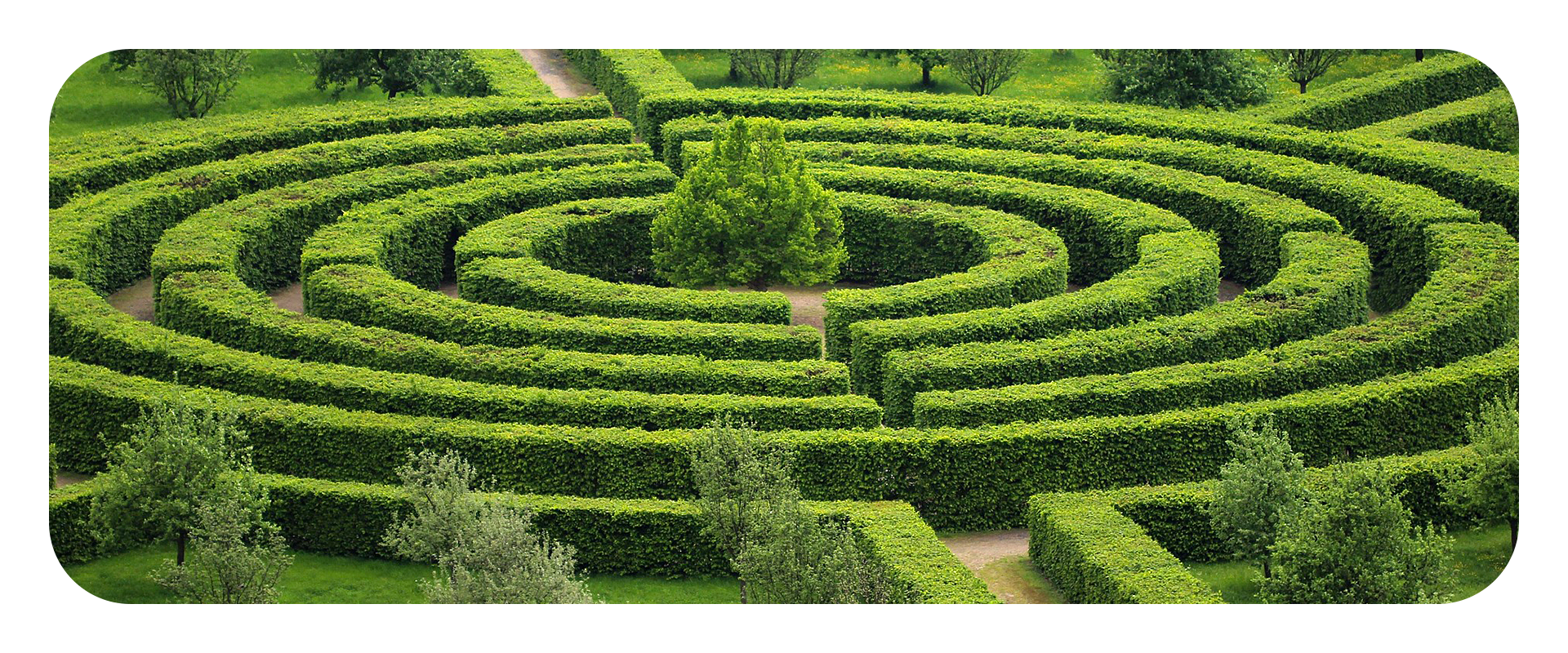 life_maze01